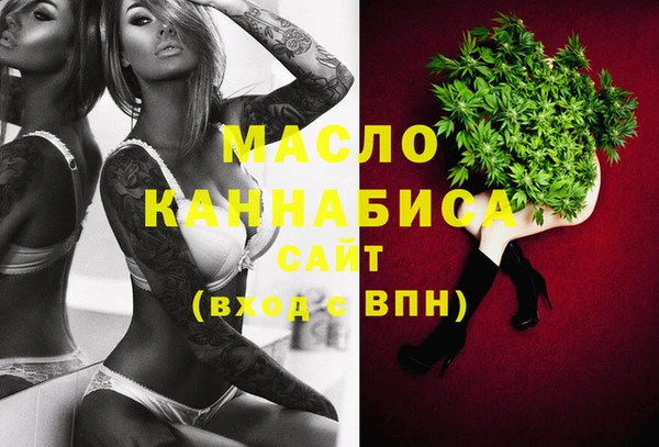 винт Пересвет