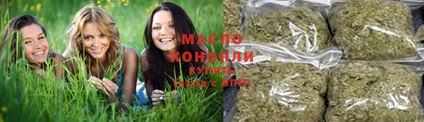 винт Пересвет