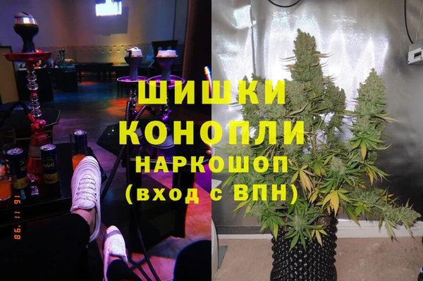 винт Пересвет