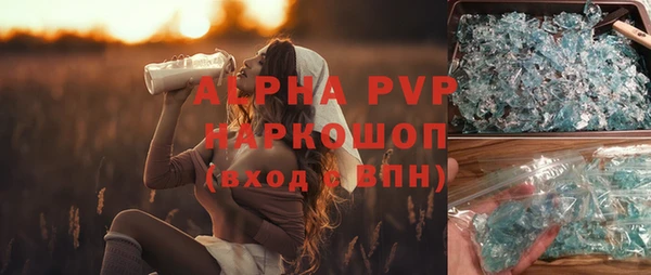 винт Пересвет