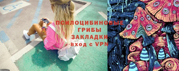 винт Пересвет